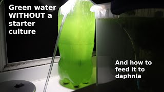 Green Water WITHOUT a Starter Culture  From Scratch  How To [upl. by Alaric]