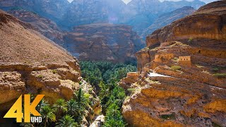 Incredible Oman in 4K UHD  Most Beautiful Nature Places of an Exotic Arab Country  Part 1 [upl. by Nyrtak842]