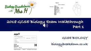 GCSE 2018 Biology Exam Paper 1  Part 1 [upl. by Herve971]