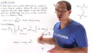 Disulfide Bond Formation [upl. by Roslyn]