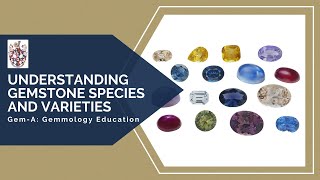 GemA Live Understanding Gemstone Species and Varieties [upl. by Freida]