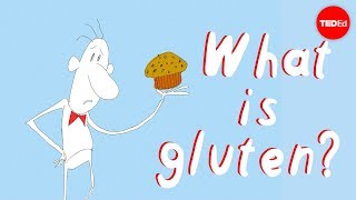 What’s the big deal with gluten  William D Chey [upl. by Vlad]