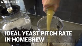 Ideal Yeast Pitch Rate for Homebrew [upl. by Akena]