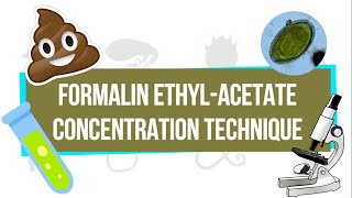 Formalin EthylAcetate Concentration Technique FEACT  UPLB Parasitology Research Laboratory [upl. by Ethelda516]