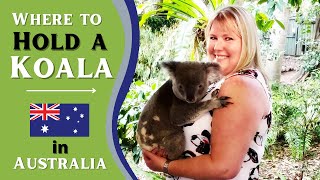 Where to hold a Koala in Australia [upl. by Va]