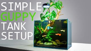 How to Setup a Simple Guppy Fish Tank TUTORIAL [upl. by Alejoa]