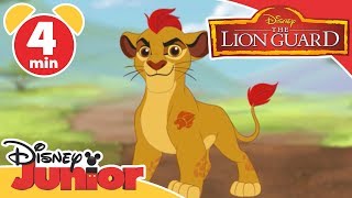 The Lion Guard  Learning Animals 🦁  Disney Kids [upl. by Gnot]