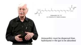 Astaxanthin Dosing More is Not Always Better [upl. by Cela]