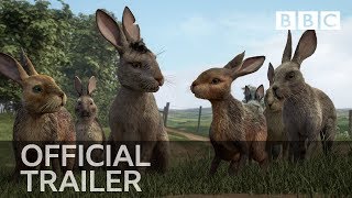 Watership Down  Battlefield [upl. by Idell]