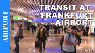 TRANSIT WALK AT FRANKFURT Airport FRA Terminal 1  Connection Flight Transfer Arriving amp Departing [upl. by Ahab]