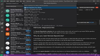 Remote Repositories for Visual Studio Code [upl. by Burley303]