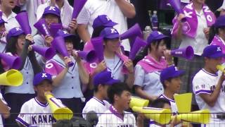 〖高校野球応援〗金足農業高 タイガーラグ 第100回全国高校野球選手権大会 [upl. by Ttezil223]