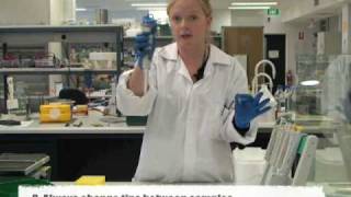 Using a singlechannel pipette [upl. by Einnej]