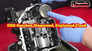 DSG Gearbox Diagnosed explained Fixed [upl. by Oicnevuj]