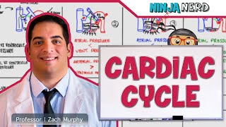 Cardiovascular  Cardiac Cycle [upl. by Jadda391]