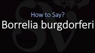 How to Pronounce Borrelia burgdorferi CORRECTLY Meaning amp Pronunciation [upl. by Ahsienaj]