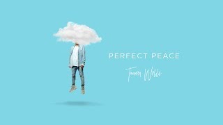 Tauren Wells  Perfect Peace Visualizer [upl. by Onek342]