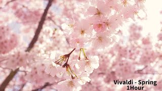 Vivaldi  Four Seasons Spring 1Hour Classic [upl. by Llibyc952]