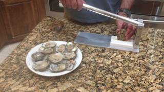 Shucking an Oyster with Easy to Use Oyster Shucker [upl. by Morna318]