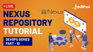 Nexus Repository  Nexus Repository DevOps  DevOps Tool  Intellipaat [upl. by Velvet]